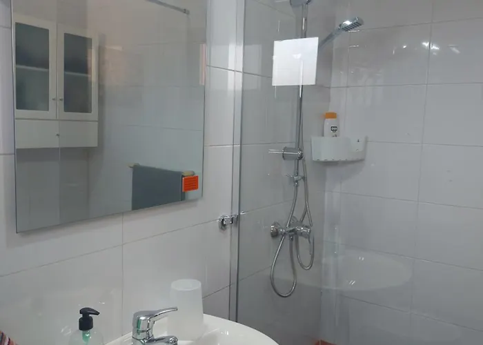 Mimosa * Коральео