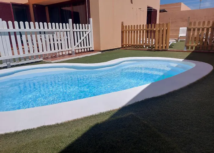 Mimosa Hébergement de vacances *