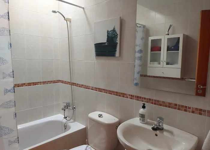 Mimosa Hébergement de vacances Corralejo