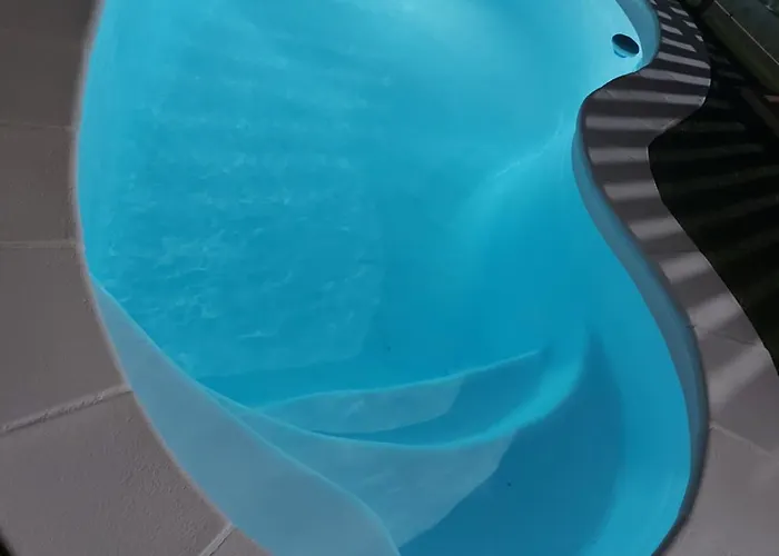 Mimosa Коральео