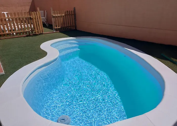 Mimosa * Коральео