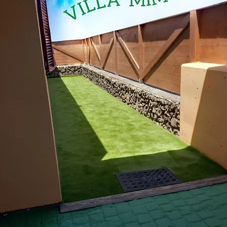 Mimosa *